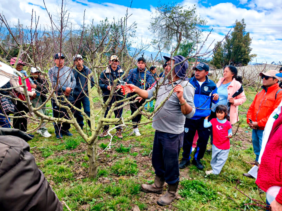 Se capacitan en producción agroecológica Se capacitan en producción agroecológica