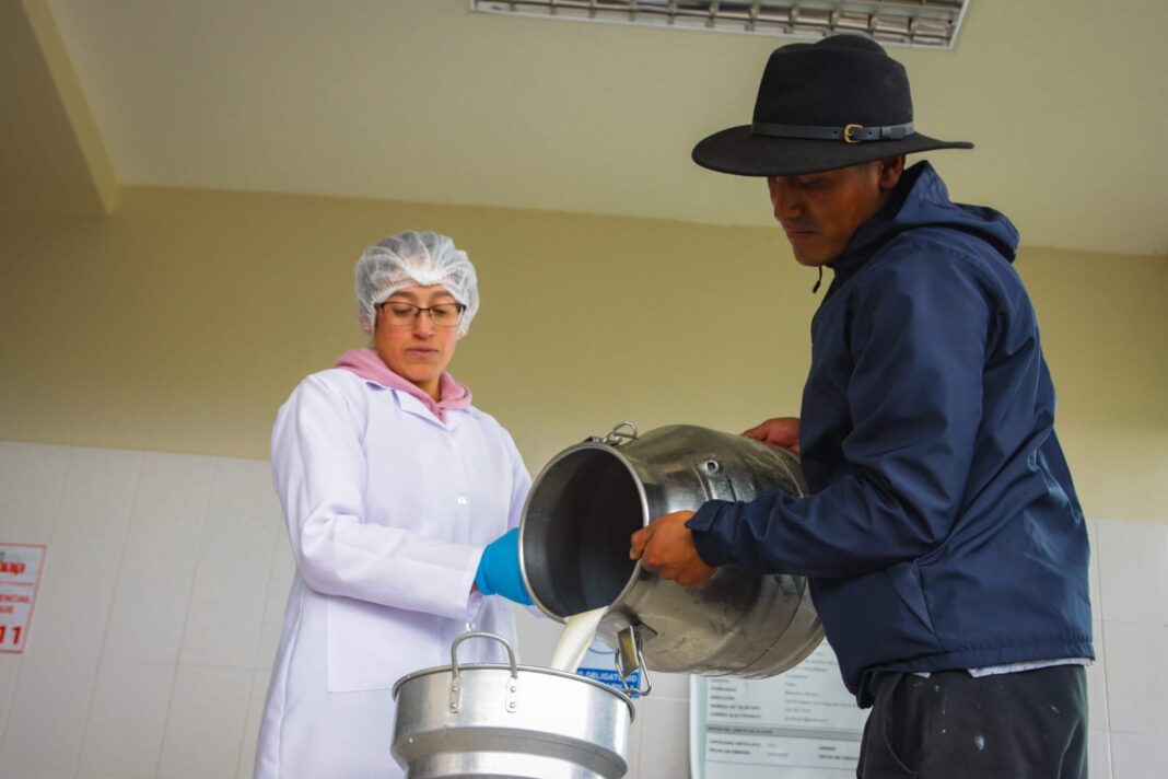 Refuerzan control de precios en la cadena láctea Refuerzan control de precios en la cadena láctea