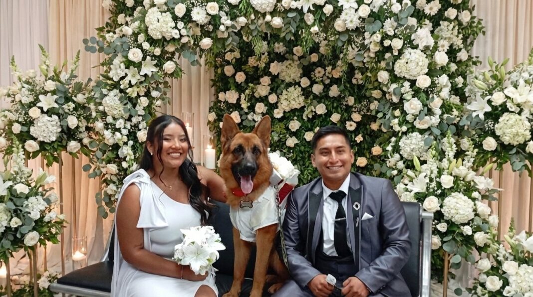 Más de 2k de matrimonios en Tungurahua Más de 2k de matrimonios en Tungurahua