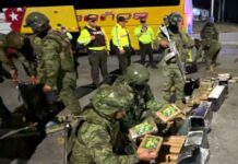 Incautan más de 140 kilos en ‘Los Pájaros’