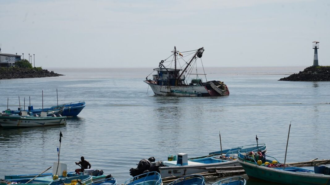 Pescadores afectados por la jaiba mora accederán a recursos Pescadores afectados por la jaiba mora accederán a recursos