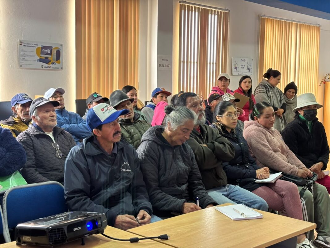 Impulsan producción en Píllaro Impulsan producción en Píllaro