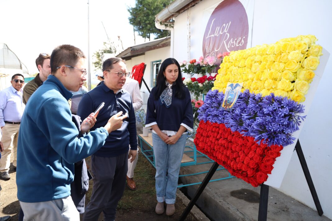 Flores de Tungurahua llegan a China Flores de Tungurahua llegan a China